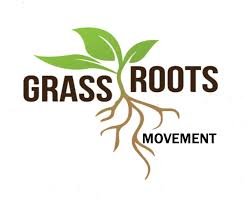 Grassroots Movements and Their Impact on Policy Changes